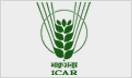 logo-1